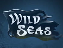 An image of the Wild Seas slot at Casumo that links to the game review