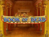 The Book of Dead slot game.