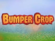 A thumbnail image of the Bumper Crop slot.
