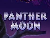 Logo of the Panther Moon slot game
